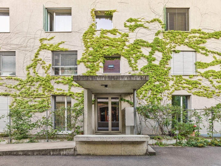 Arcollage burgunder bild 7